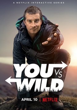 Cartel de You vs. Wild