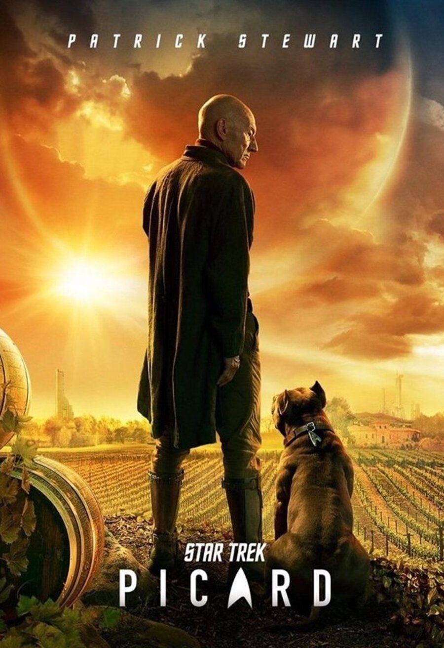 Cartel de Star Trek: Picard - Temporada 1