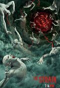 The Strain