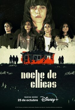 Cartel de Noche de chicas