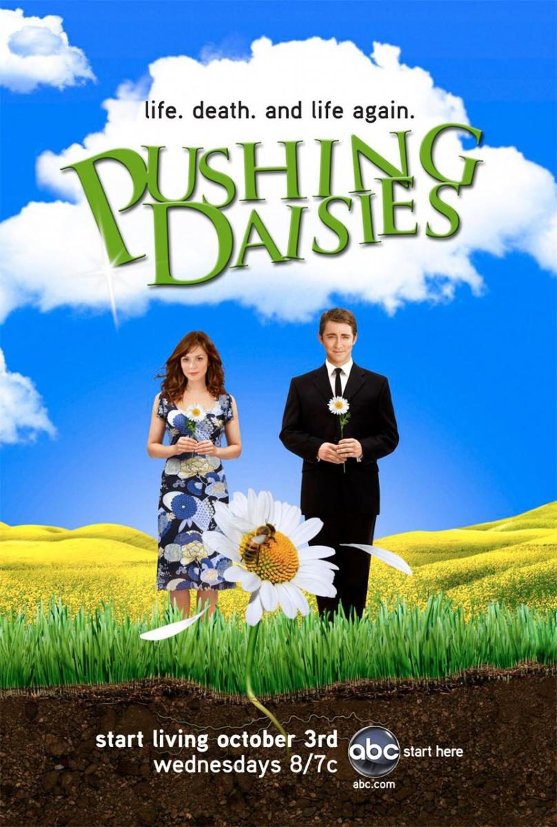 Cartel de Pushing Daisies - Temporada 1