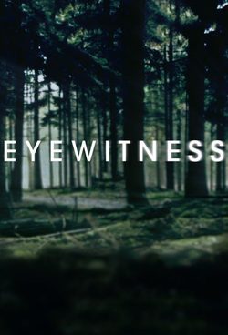 Cartel de Eyewitness