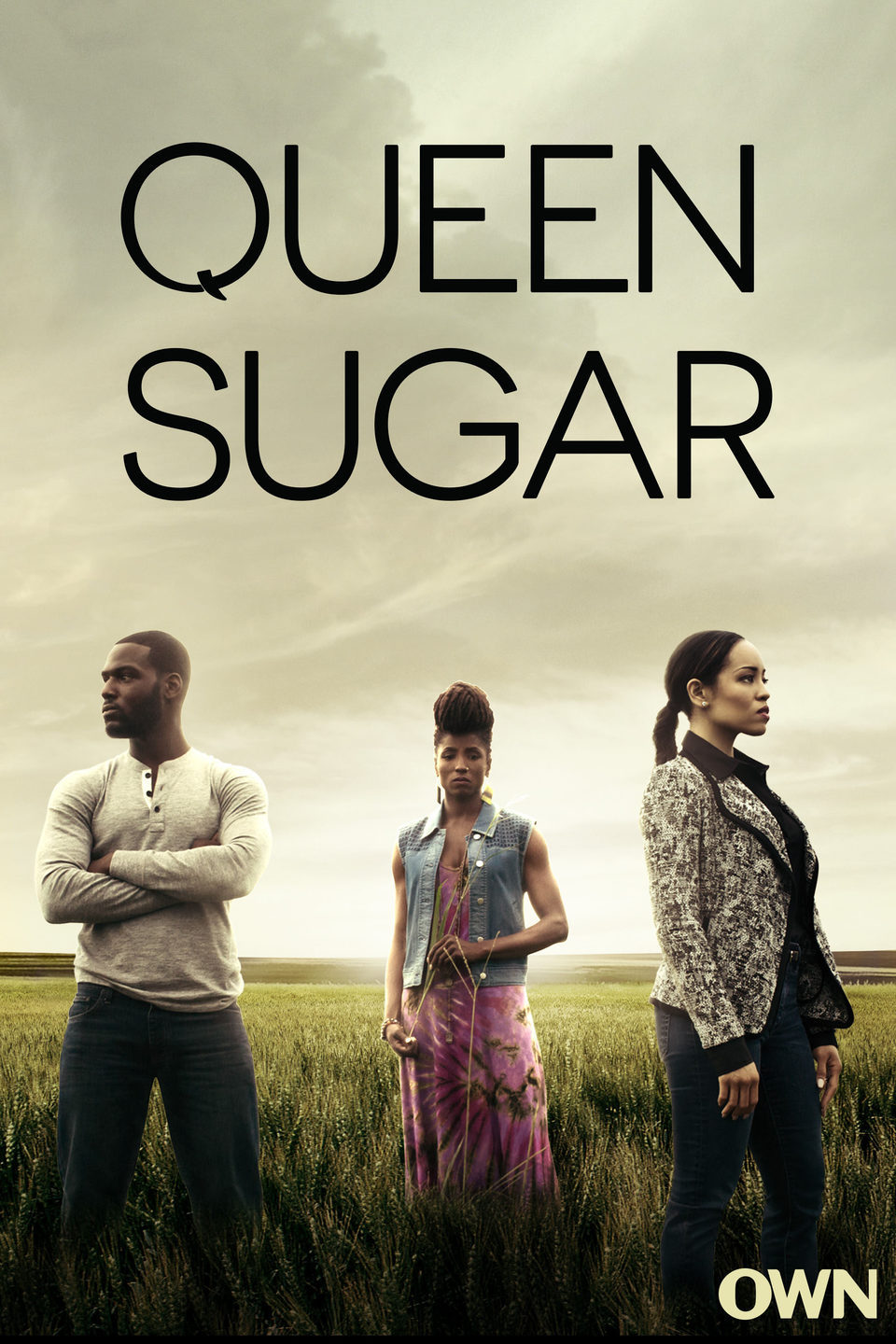Cartel de Queen Sugar - Temporada 1