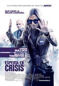 Cartel de Experta en crisis