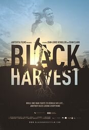 Black Harvest