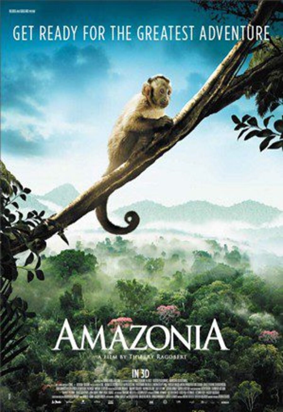 Cartel de Amazonia - Internacional