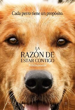 Cartel de La razón de estar contigo