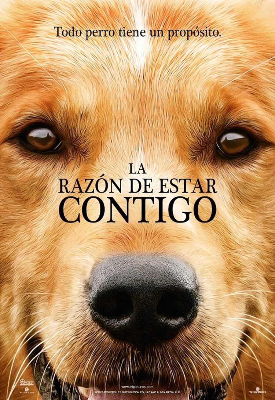 Cartel de La razón de estar contigo - 