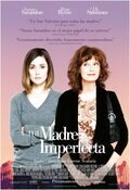 Cartel de The Meddler