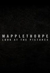 Mapplethorpe: Look at the pictures