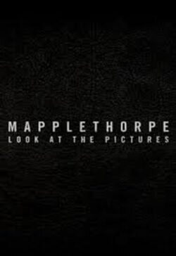 Cartel de Mapplethorpe: Look at the pictures