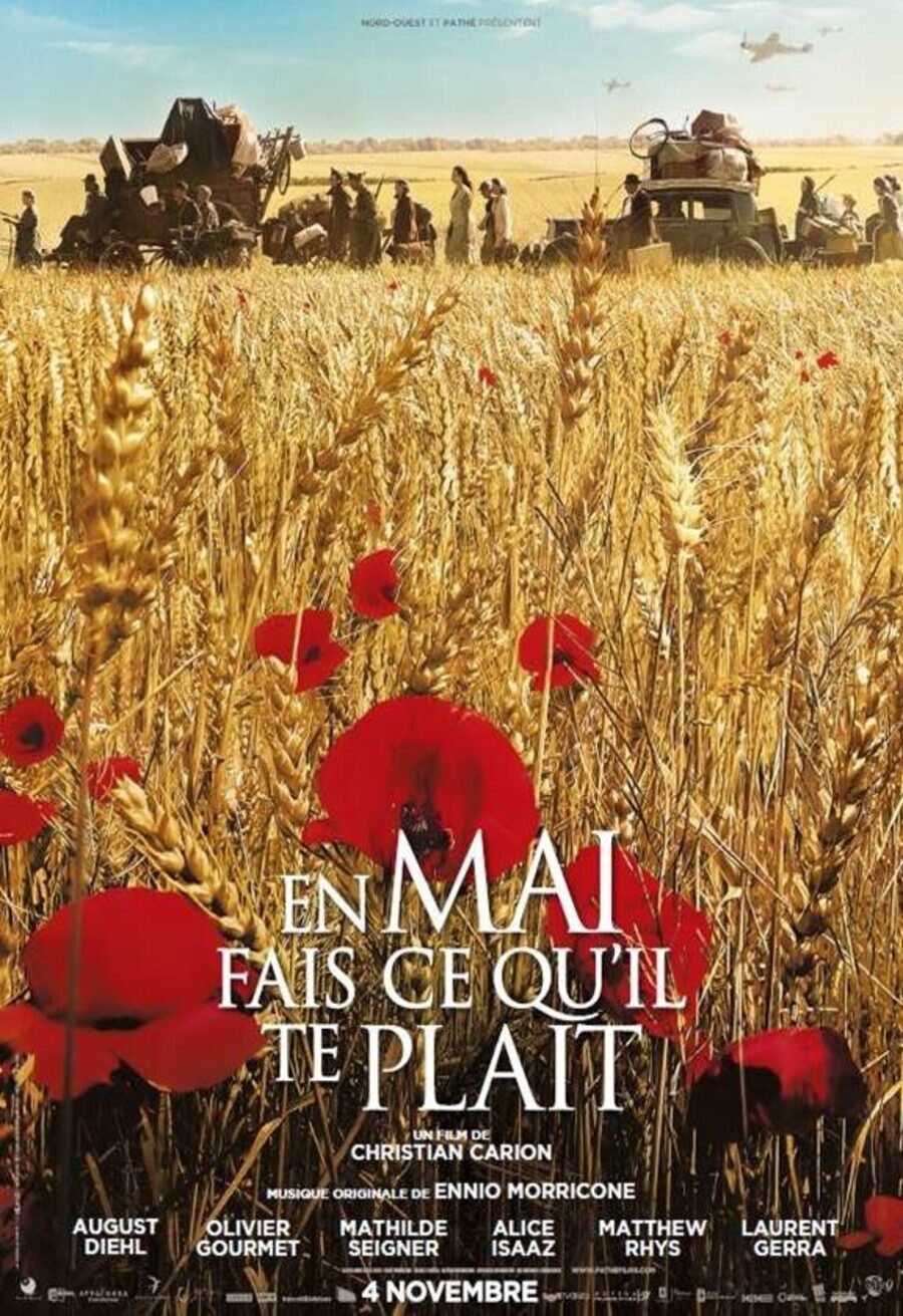 Cartel de En mai, fais ce qu'il te plaît - Francia 2