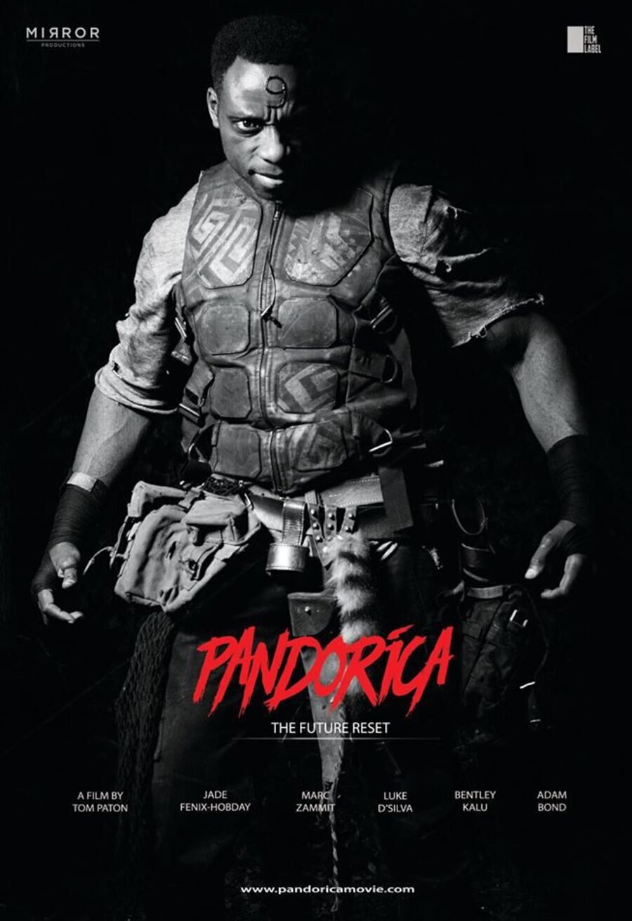 Cartel de Pandorica - Nine