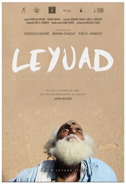 Cartel de LEYUAD, un viaje al pozo de los versos