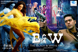Cartel de B & W - The Black and White Fact