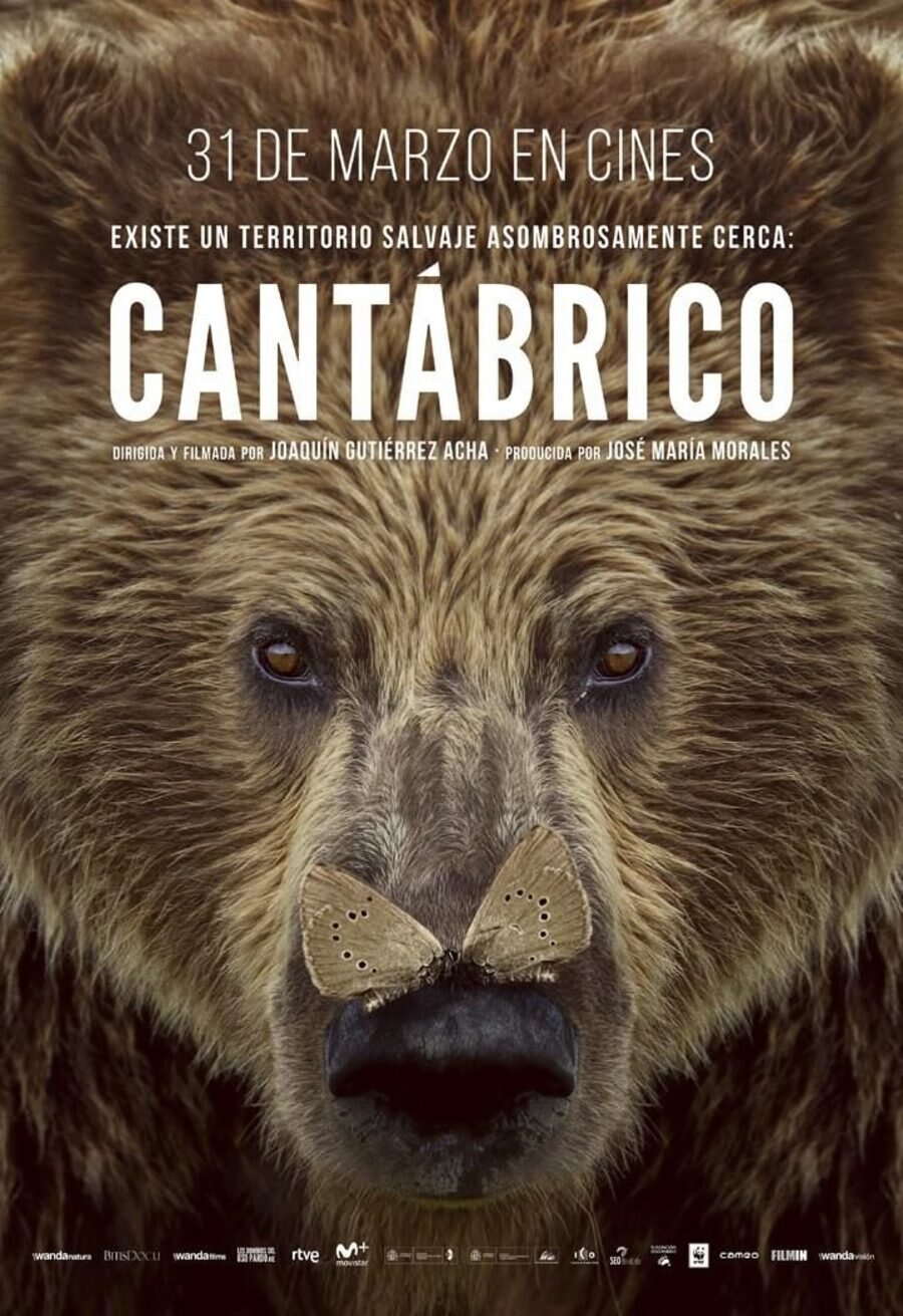 Cartel de Cantábrico - 