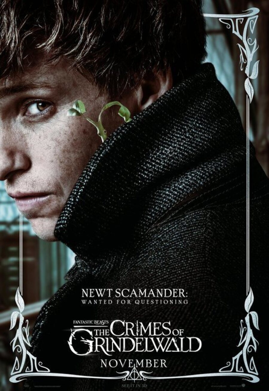 Cartel de Animales Fantásticos: Los crímenes de Grindelwald - Newt Scamander
