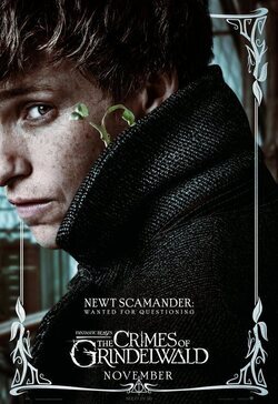 Newt Scamander