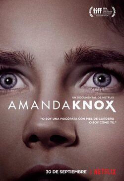 Cartel de Amanda Knox