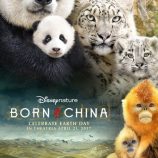 Nacidos en China