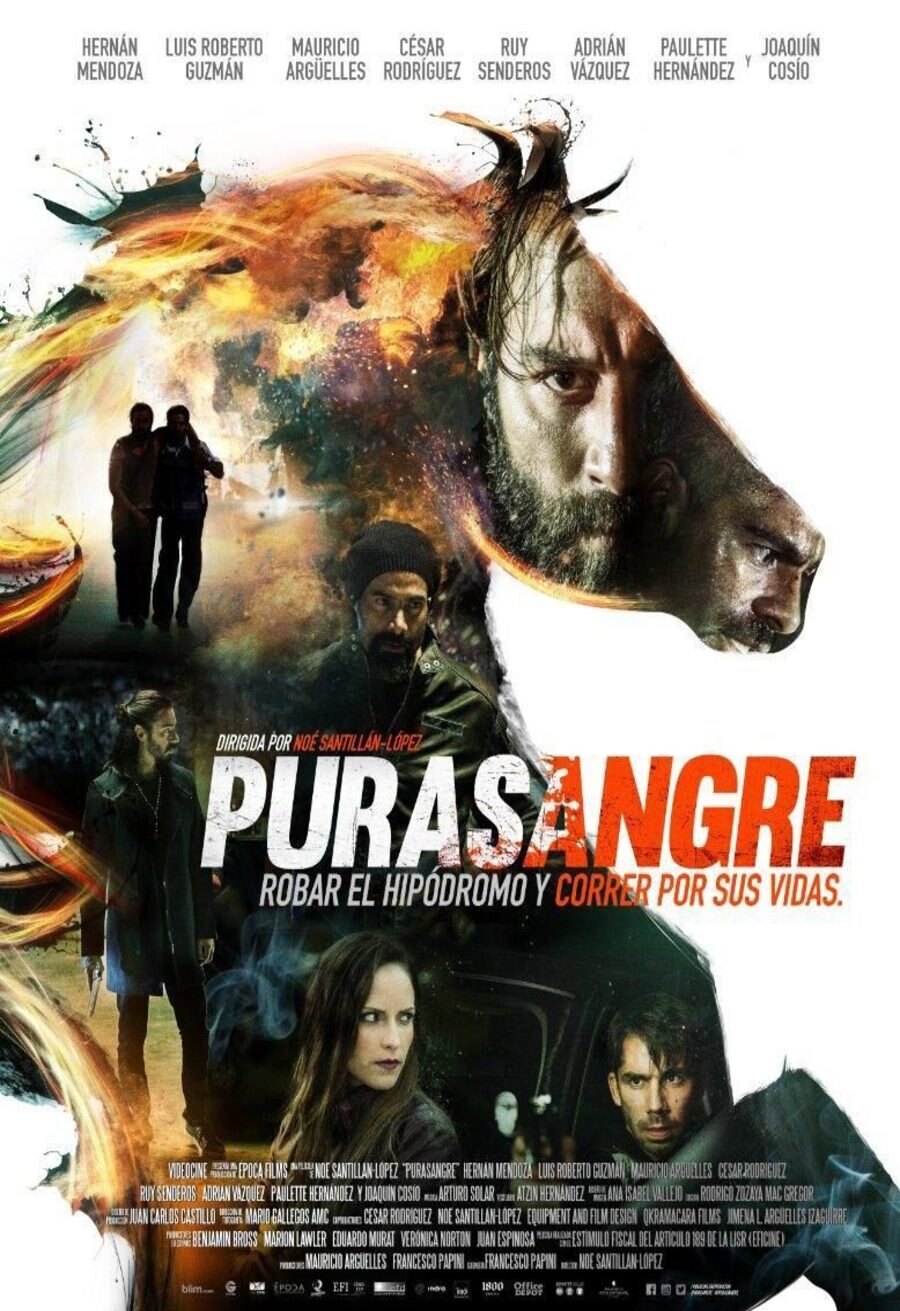 Cartel de Purasangre - Póster oficial