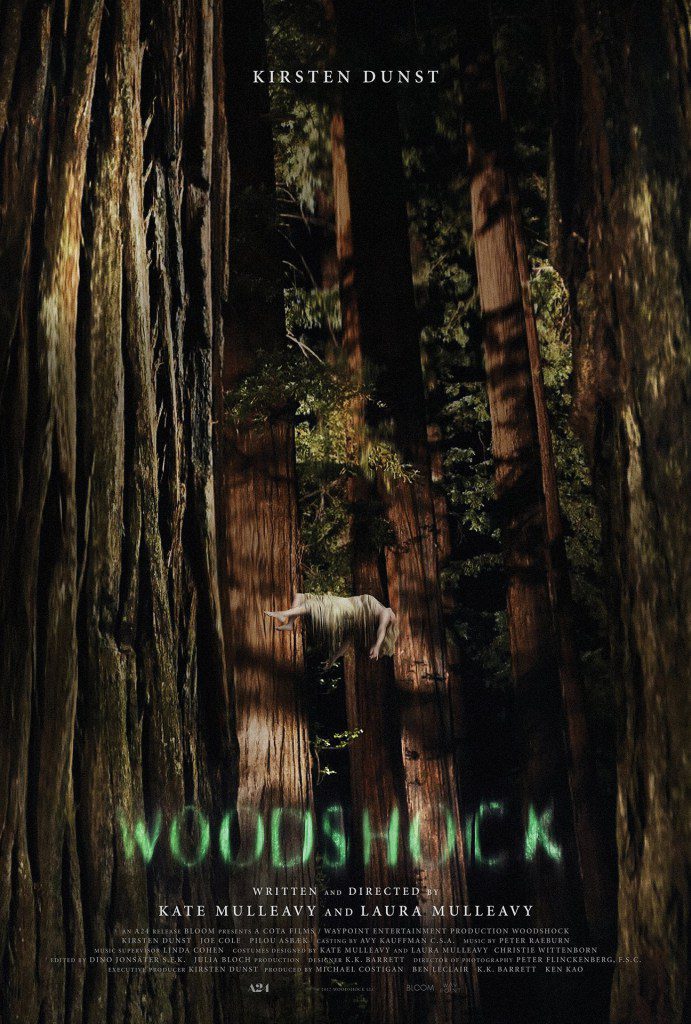 Cartel de Woodshock - WoodShock