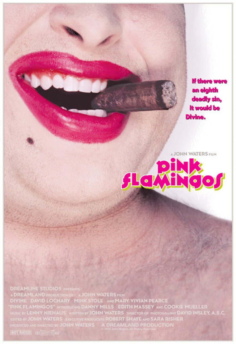 Cartel de Pink Flamingos - Internacional #2
