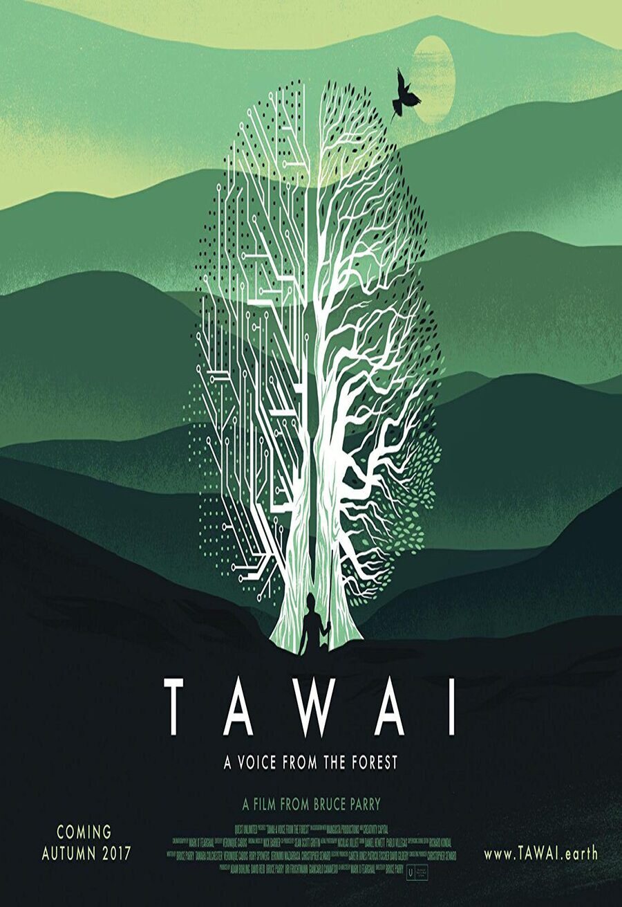 Cartel de Tawai: A voice from the forest - Reino Unido #2
