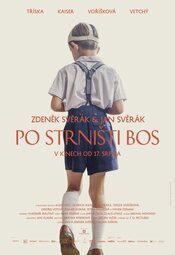 Po strnisti bos