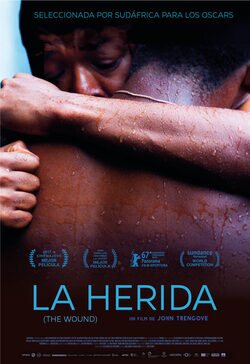 Cartel de The Wound