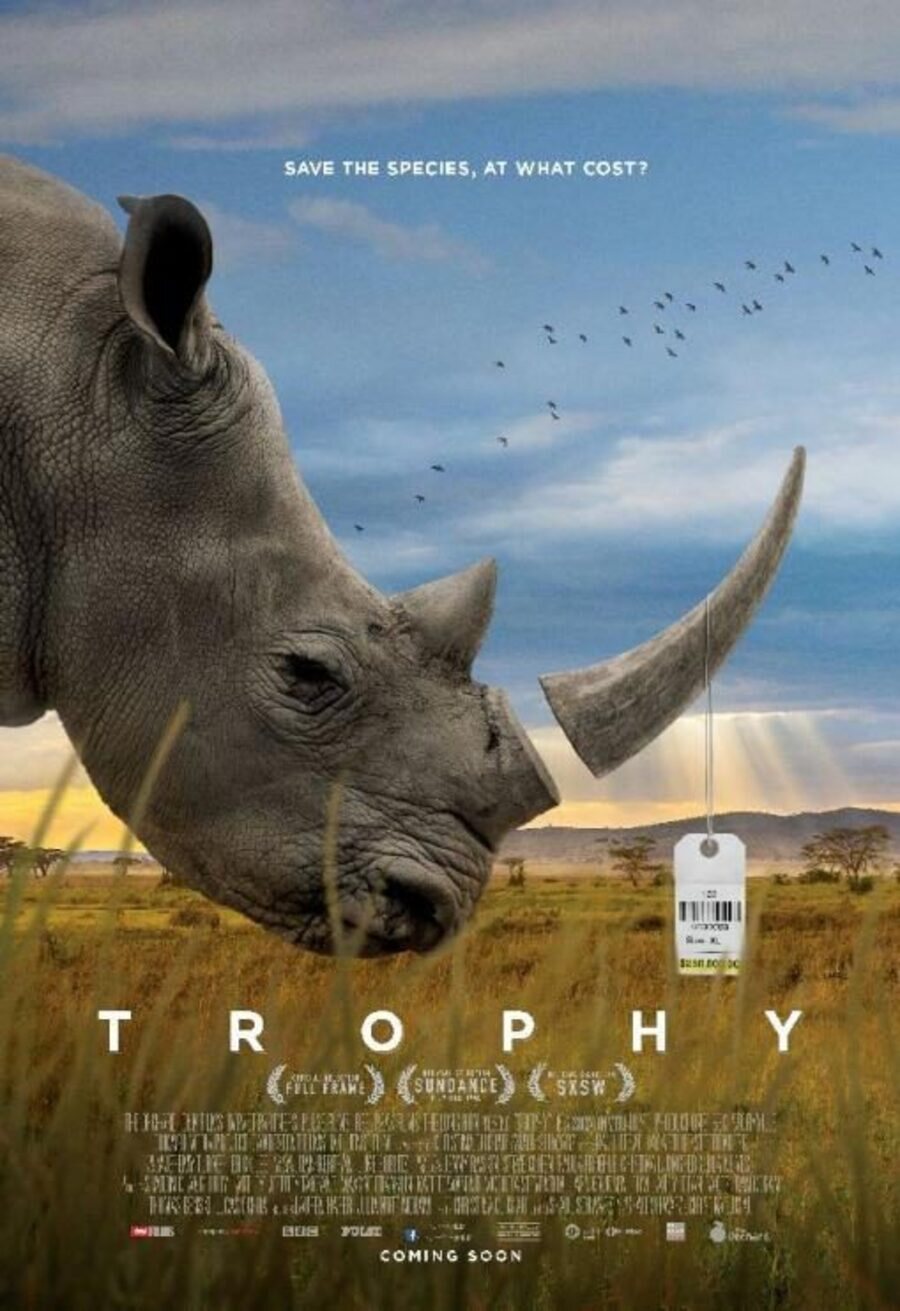 Cartel de Trophy - USA