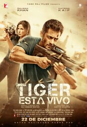 Tiger Zinda Hai