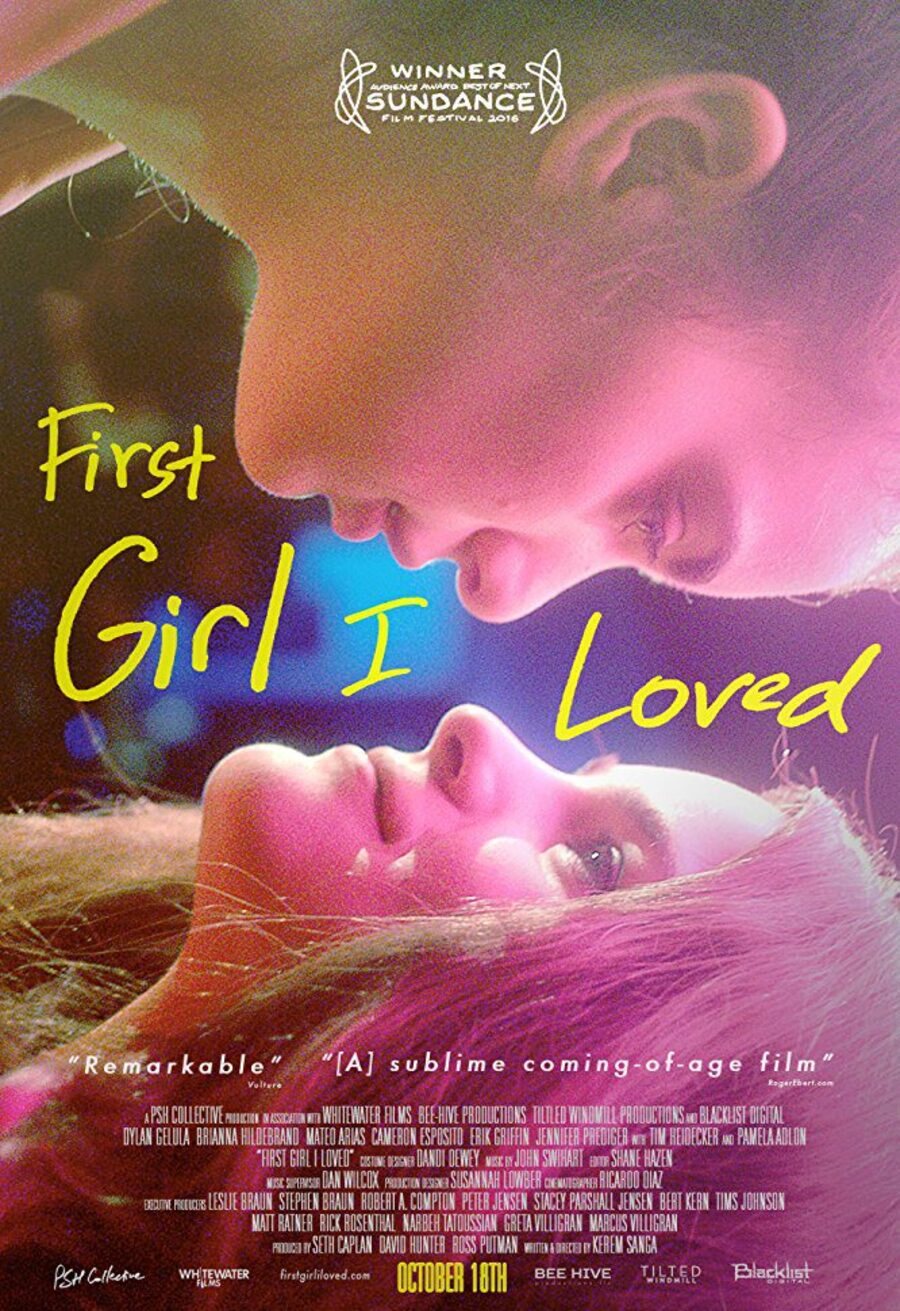 Cartel de First Girl I Loved - Póster