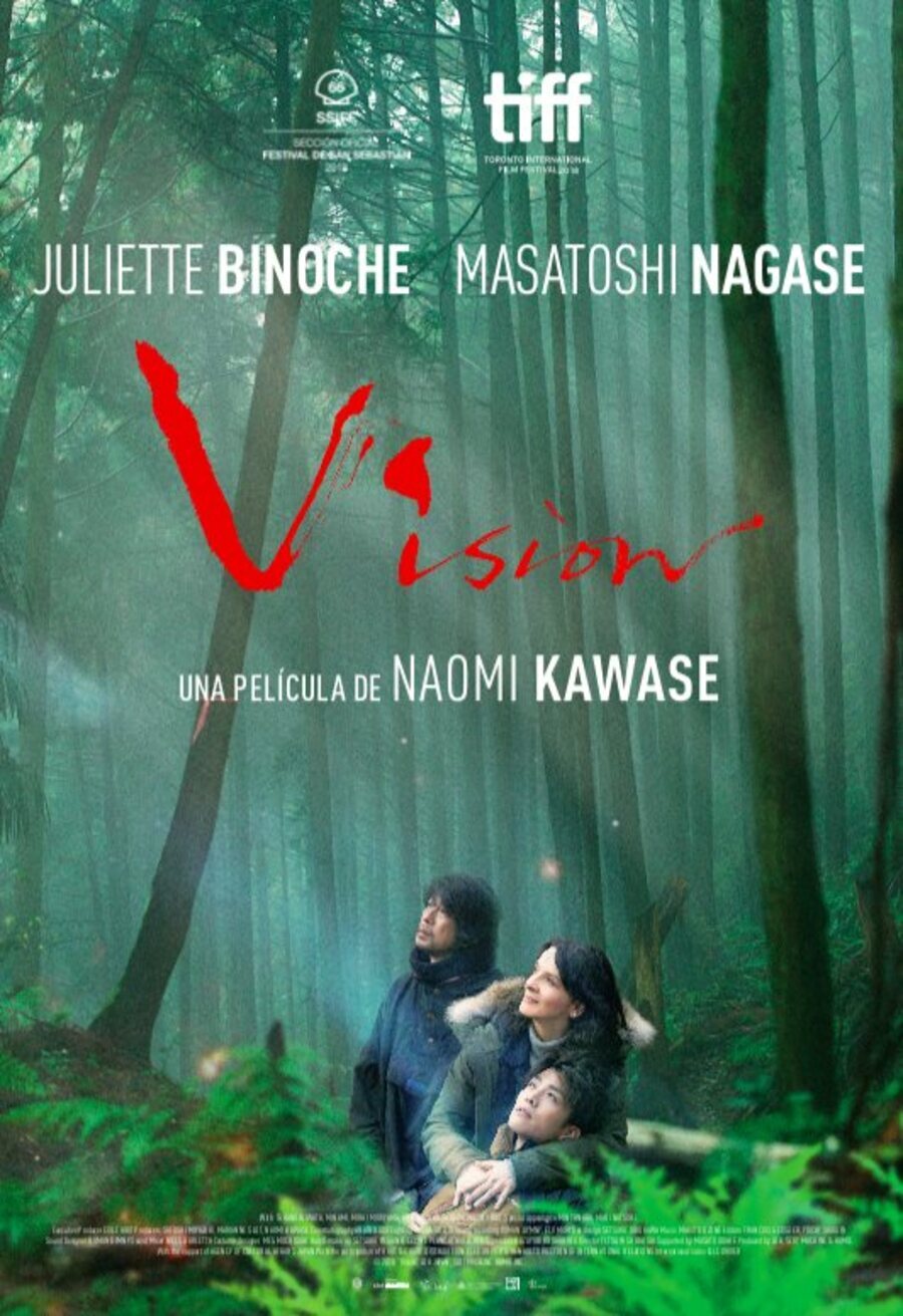 Cartel de Vision - Póster español