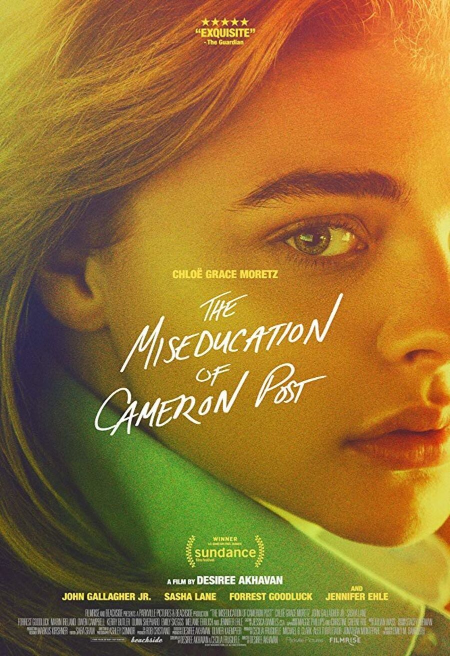 Cartel de The Miseducation of Cameron Post - EEUU #3
