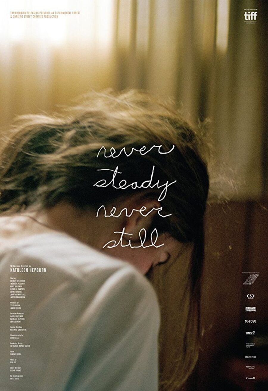 Cartel de Never Steady, Never Still - 