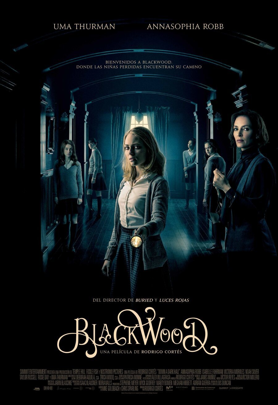 Cartel de Down a Dark Hall - España