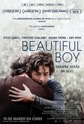 Cartel de Beautiful Boy: Siempre serás mi hijo