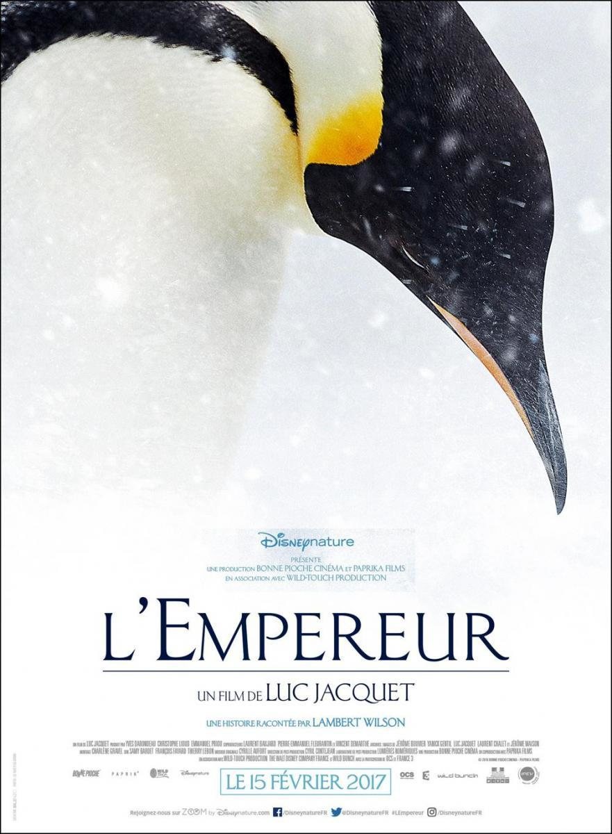 Cartel de La marcha de los pingüinos 2 - Francia