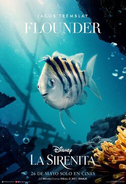 Flounder