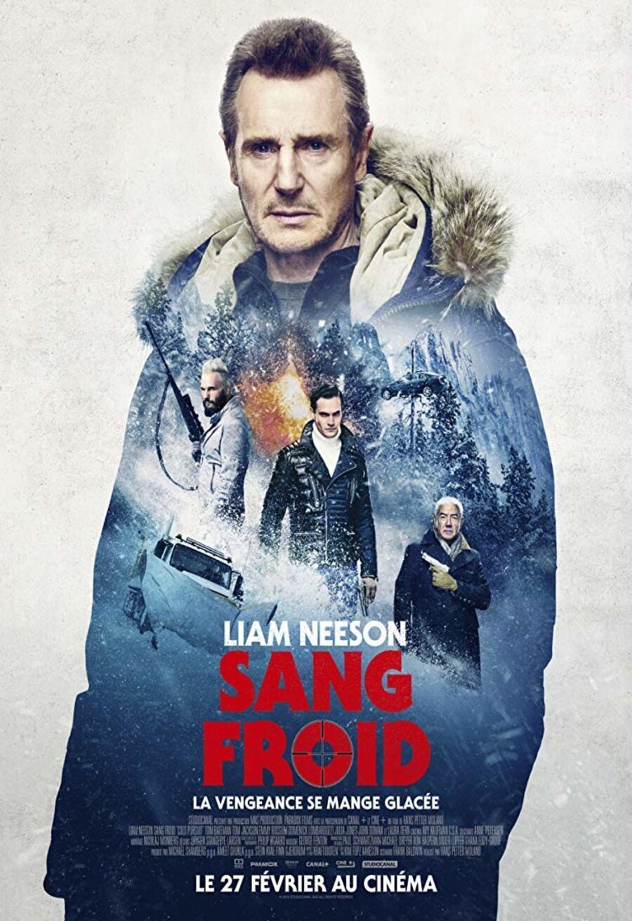 Cartel de Venganza - Poster Francia