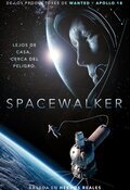 Cartel de Spacewalker