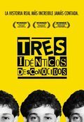 Cartel de Three Identical Strangers