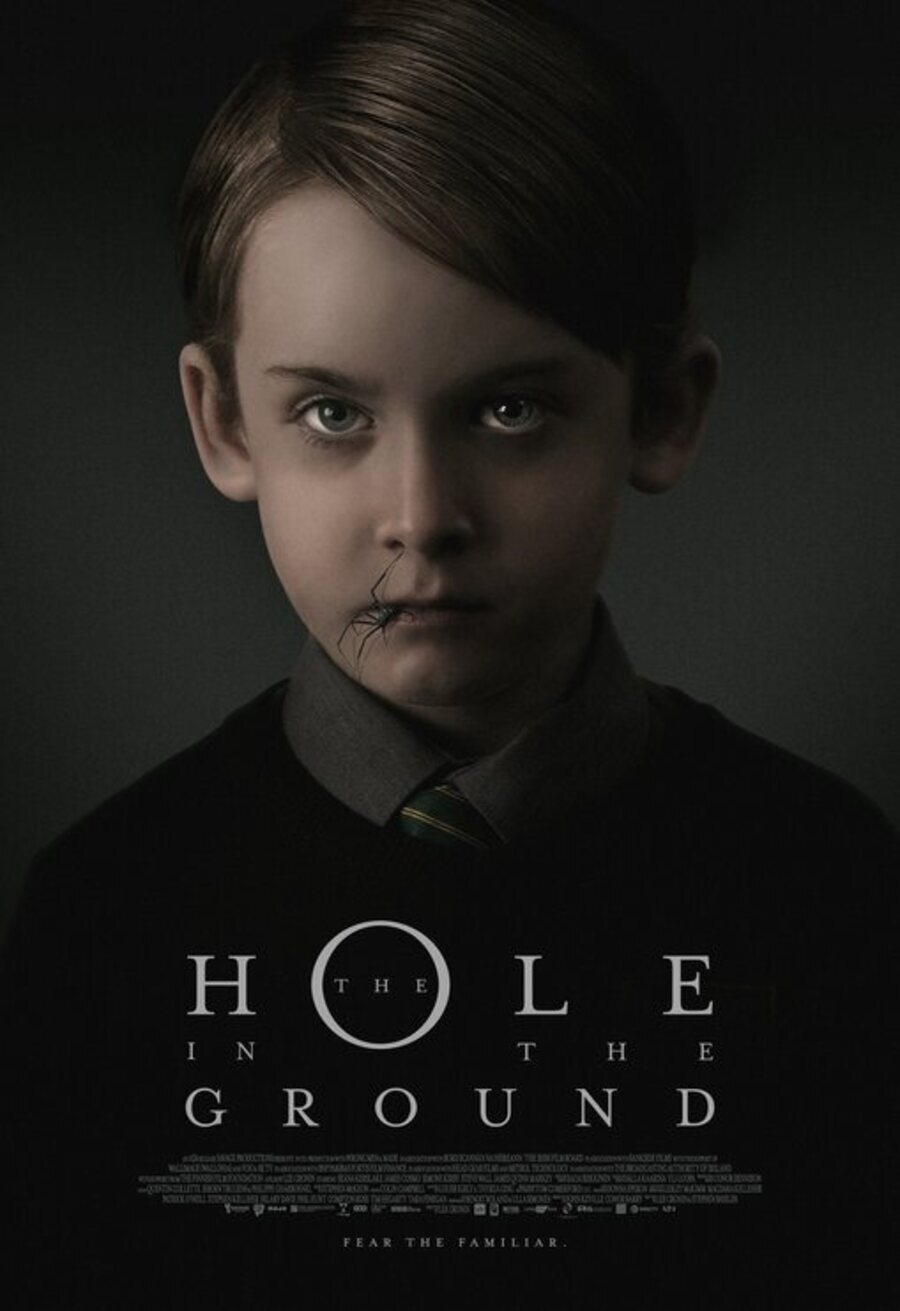 Cartel de El bosque maldito - Poster 'The Hole in the Ground'