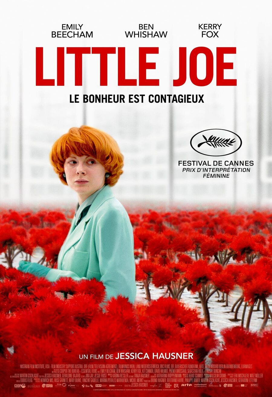 Cartel de Little Joe - Francia