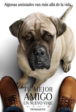 Póster Big Dog