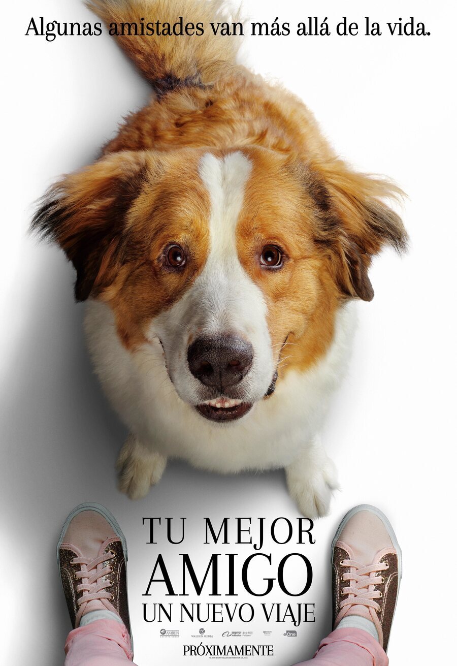 Cartel de La razón de estar contigo: un nuevo viaje - Póster Bailey