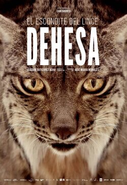 Dehesa, el bosque del lince ibérico