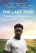 Cartel de The Last Tree