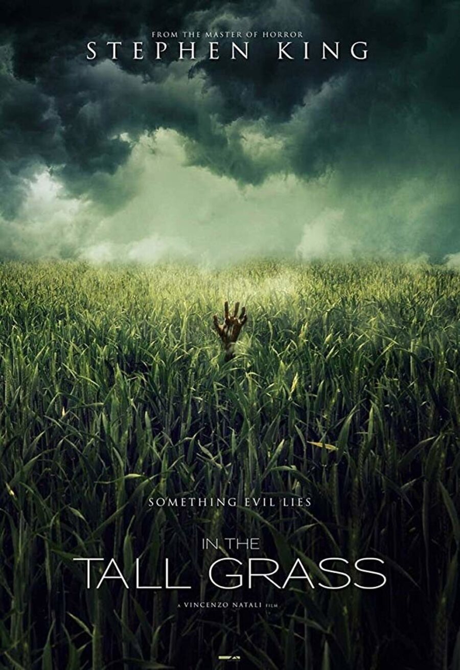 Cartel de In the Tall Grass - 